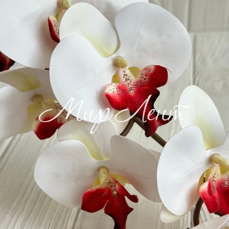 Гілка орхідеї, 110 см, біло-бордова, шт.