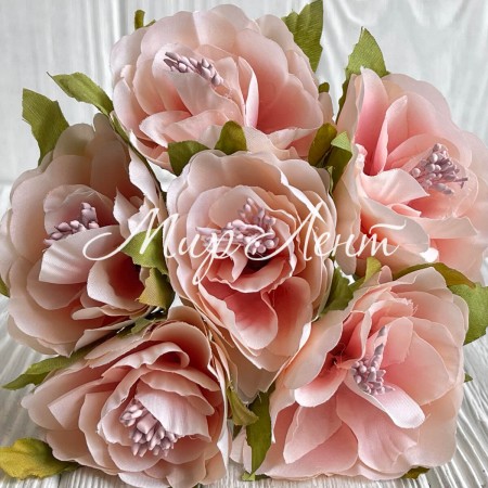 Бегония королевская, 5 см, персиково-розовая, упаковка 30 шт.