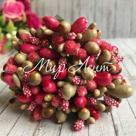 Веточка двухцветная, малиновый-светло-оливковый, упаковка 12 пучков (144 шт.)