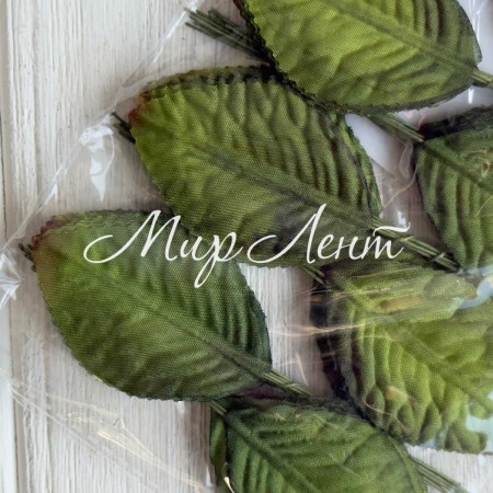 Листик (С30389), 4х6 см, зеленый с коричневым, упаковка 12 шт.