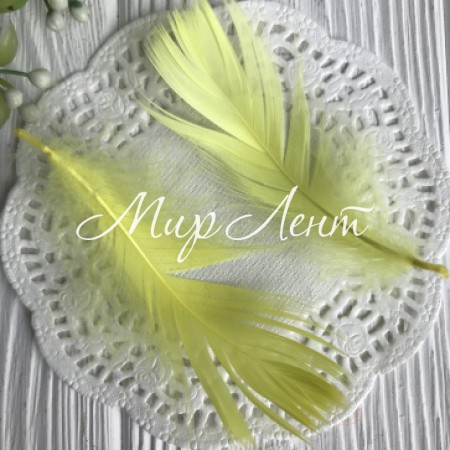 Перо цветное, 5-15 см, желтый, упаковка 100 шт.