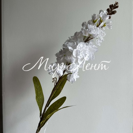 Букет дельфиниумов, 85 см, белый, шт.