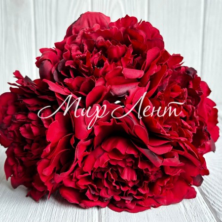 Букет древовидной пионии, 8х27 см, бордовый, букет 5 шт.