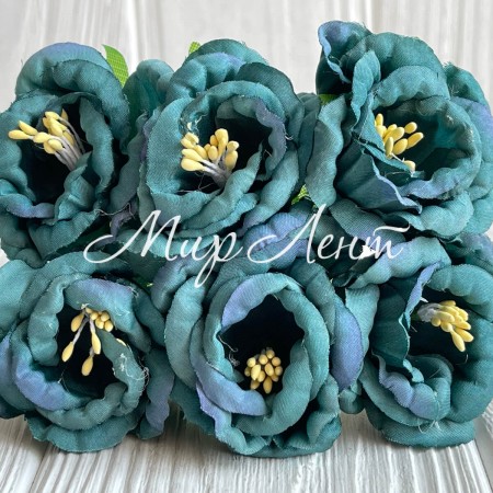 Глоксиния, 4,5 см, изумрудный, упаковка 36 шт.