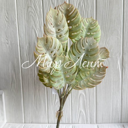 Гілка монстери (С30547), 36 см, світло-зелено-коричнева, шт.