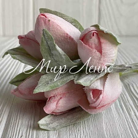 Тюльпани в снігу, 13 см, світло-рожевий, упаковка 36 шт.