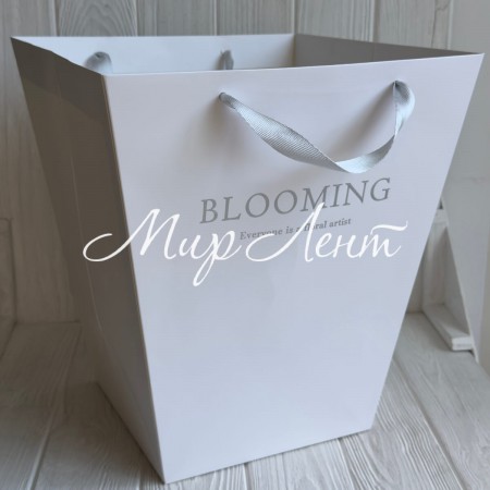 Пакети-переноски трапеція «Blooming» (J01373), 30х20х34 см, білий з сріблом, упаковка 10 шт.