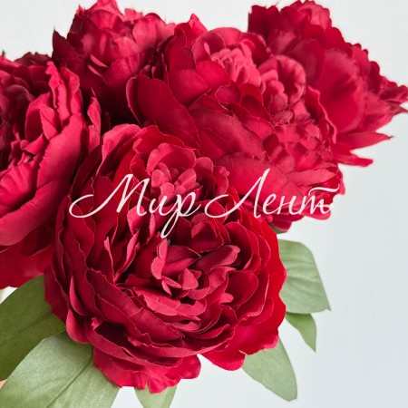 Букет пионов (С30478), 44 см, бордовый, шт.