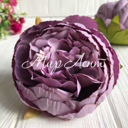 Пион кудрявый большой, 9 см, лиловый, упаковка 50 шт.