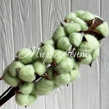 Бавовна стабілізована на ніжці, 38 см, світло-зелений, упаковка 10 шт.