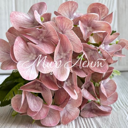 Букет гортензии мини (С30300), 35 см, пудровый, шт.