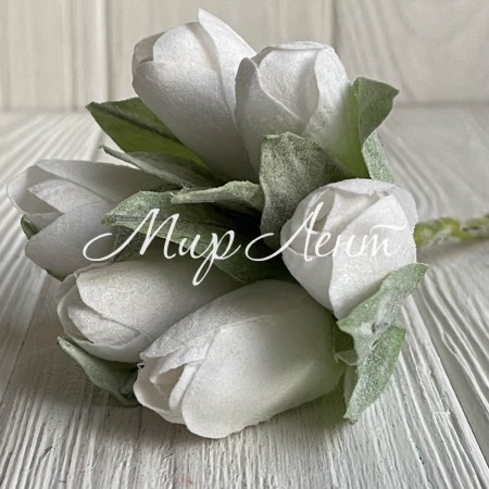 Тюльпани в снігу, 13 см, білий, упаковка 36 шт.