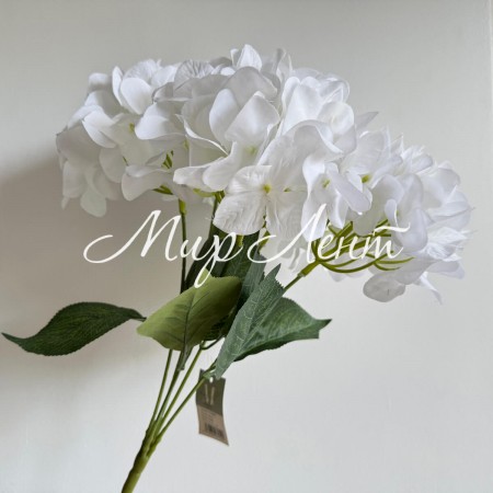 Букет гортензии (С30469), 48 см, белый, шт.