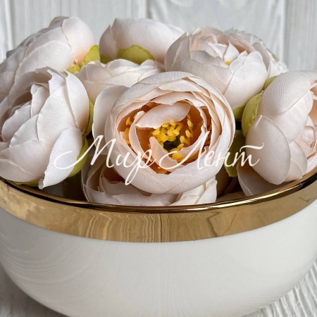 Бутон ранункулюса, 4 см, кремовый, упаковка 25 шт.