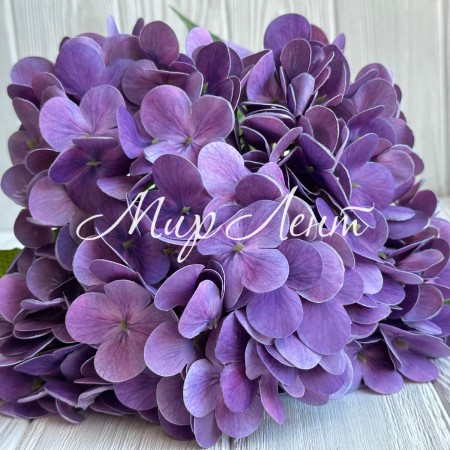 Гортензия латексная (С30056), 46 см, фиолетовая, шт.