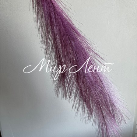 Кортадерия маленькая (штучная), 70 см, баклажановая, шт.