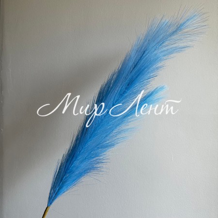 Кортадерия маленькая (штучная), 70 см, голубая, шт.