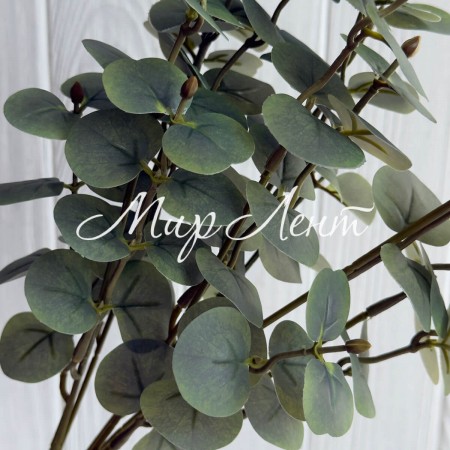 Ветка эвкалипта (ТВ-С30715), 47 см, приглушено-зеленая, шт.