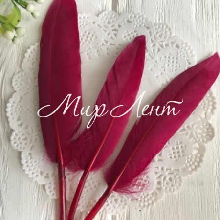 Пір'я довгі, 10-16 см, бургунди, упаковка 100 шт.