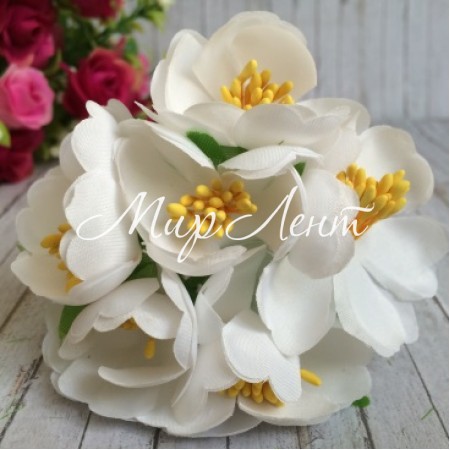 Півонія розкритий, 4,5 см, білий, упаковка 8 пучків