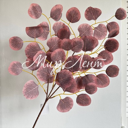 Евкаліпт звисаючий (середній), 65 см, фіолетово-бузковий, шт.