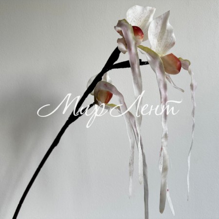 Гілка дикої орхідеї, 80 см, біла, шт.