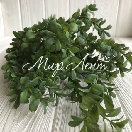 Гілка самшиту, 48 см, зелений, шт.