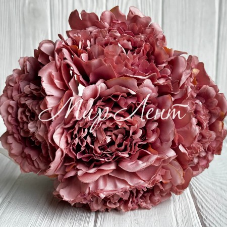 Букет древовидной пионии, 8х27 см, пудровый, букет 5 шт.