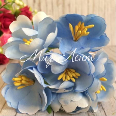 Півонія розкритий, 4,5 см, блакитний, упаковка 8 пучків