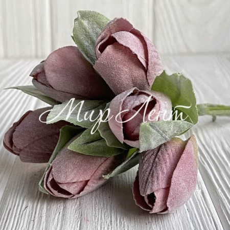 Тюльпани в снігу, 13 см, пудровий, упаковка 36 шт.