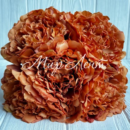 Букет древовидной пионии, 8х27 см, кирпичный, букет 5 шт.