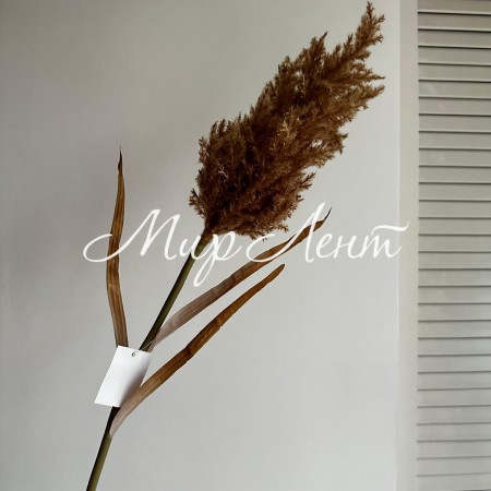 Ветка камыша, 85 см, капучино, шт.
