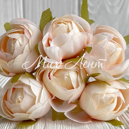 Піон закритий (комбінований), 4х9 см, ніжно-персиковий, упаковка 36 шт.