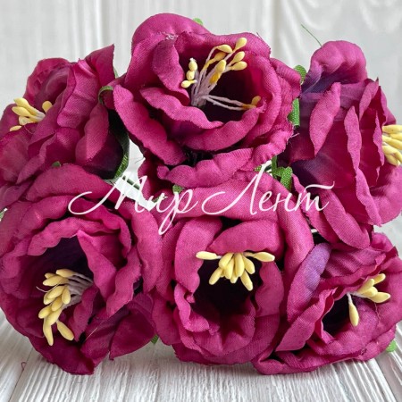 Глоксинія, 4,5 см, малиновий, упаковка 36 шт.