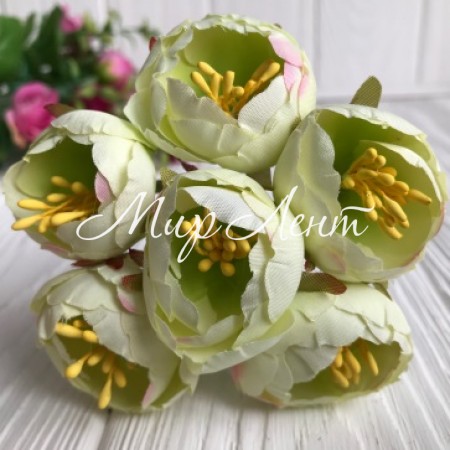 Півонія весняний, 3 см, ніжно-салатовий, упаковка 60 шт.