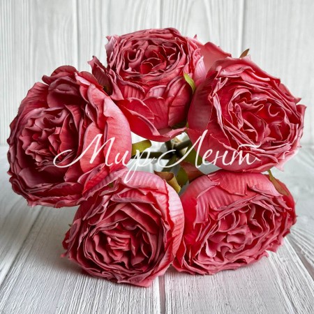 Букет пионовидной розы, 7х26 см, кораллловый, букет з 5 шт.