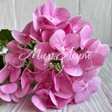 Букет гортензии мини (С30300), 35 см, рожевый, шт.