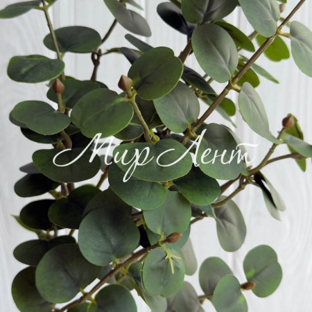 Ветка эвкалипта (ТВ-С30715), 47 см, зеленая, шт.