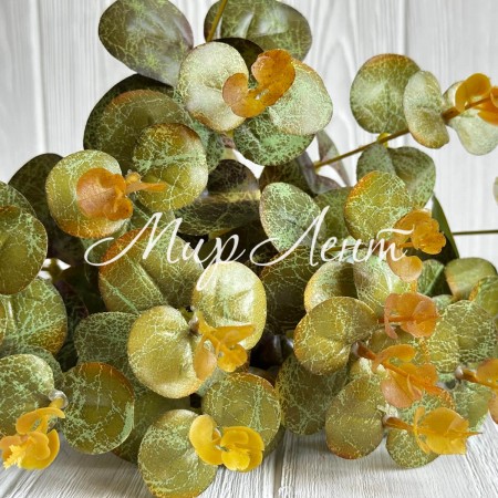 Ветка эвкалипта (С30543), 46 см, оливковая, шт.