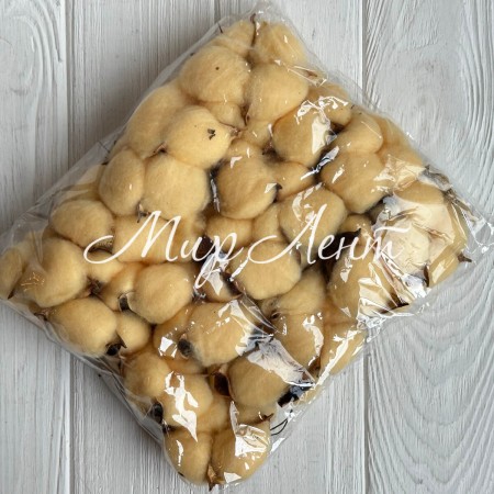 Хлопок стабилизированный (коробочка), 5-6 см, бежево-персиковый, упаковка 20 шт.