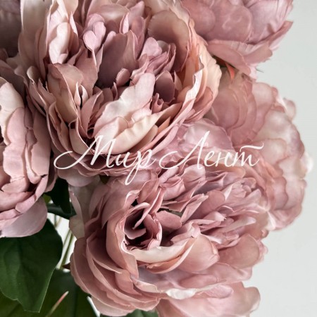Букет пионов (С30478), 44 см, пудровый, шт.