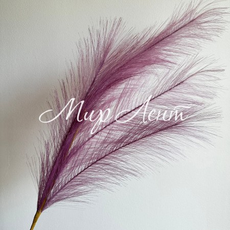 Кортадерия большая (штучная), 105 см, баклажановая, шт.