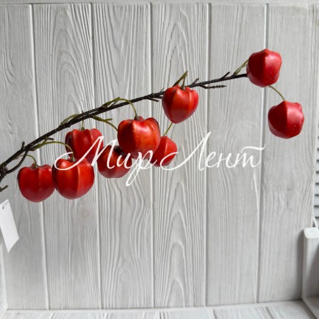 Гілка фізаліса (С30514), 76 см, червона, шт.