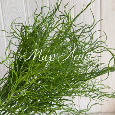 Гілка зелені (С30662), 40 см, яскраво-зелений, шт.