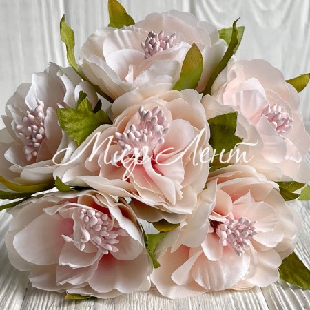 Бегония королевская, 5 см, нежно-розовая, упаковка 30 шт.