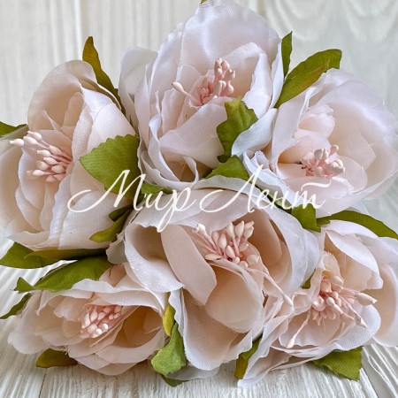 Бегония, 5х12 см, нежно-персиковая, упаковка 30 шт.