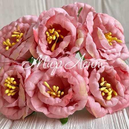 Глоксиния, 4,5 см, лососевый, упаковка 36 шт.