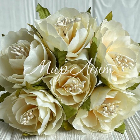 Бегонія королівська, 5 см, молочна, упаковка 30 шт.