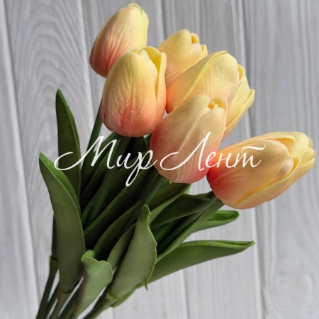Букет тюльпанов, 34 см, молочно-коралловый, букет з 9 шт.