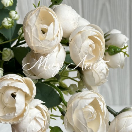 Букет ранункулюсов, 30 см, молочный, шт.
